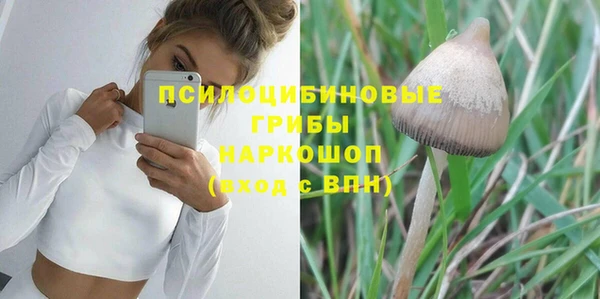 прущая мука Алзамай