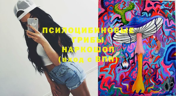 прущая мука Алзамай