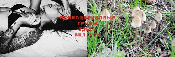 прущая мука Алзамай