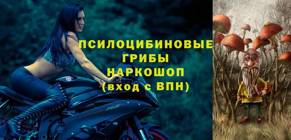 МДПВ Алексеевка