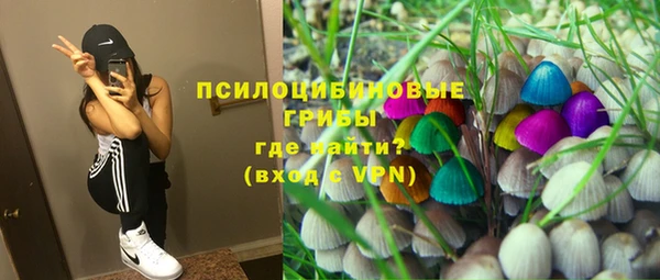 прущая мука Алзамай